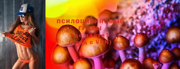 MDMA Premium VHQ Волосово